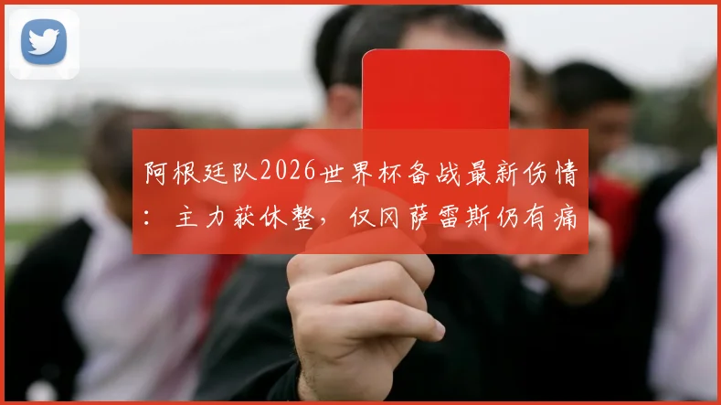 阿根廷队2026世界杯备战最新伤情：主力获休整，仅冈萨雷斯仍有痛感，斯卡洛尼轮换策略解析